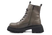 LY223-61A